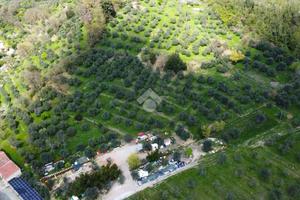 TER. AGRICOLO A PISTOIA