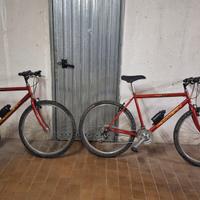 n.2 biciclette