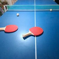 Biliardo/PingPong