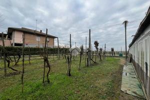 TER. AGRICOLO A RAVENNA