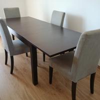 Tavolo con 4 Sedie IKEA BJURSTA Allungabile