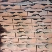 Tegole marsigliesi MOSSO/SALPI 0,40 cent 