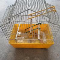 gabbia per uccellini 