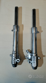 Forcelle Paioli Aerox