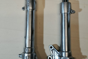 Forcelle Paioli Aerox