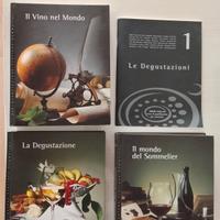 Guida AIS Vino