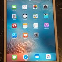 Ipad mini prima serie