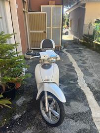 Scarabeo bianco 50 4 Tempi