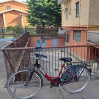 Bicicletta da donna con catena antifurto