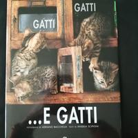 "Gatti, gatti... e gatti"