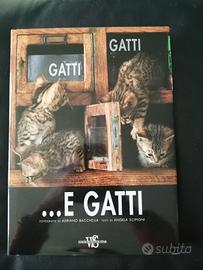 "Gatti, gatti... e gatti"