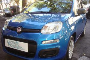 FIAT Panda 1.0 FireFly S&S Icon Hybrid 5°posto P
