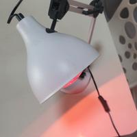 lampada ad infrarossi o comune