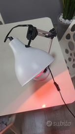 lampada ad infrarossi o comune