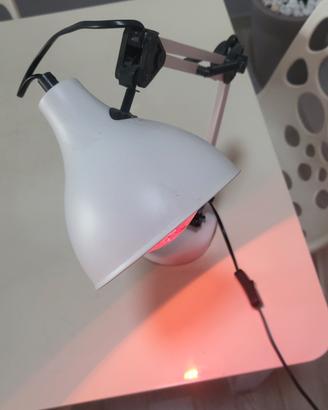 lampada ad infrarossi o comune