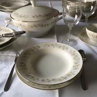 Set Richard Ginori (12 persone-41 pezzi)