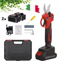 FORBICE A BATTERIA DA POTATURA+VALIGIA+2 BATTERIE