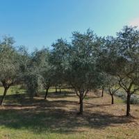 Giardiniere