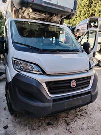 Pezzi di ricambio fiat ducato anno 2015