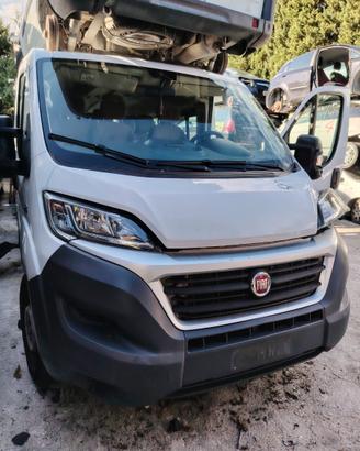 Pezzi di ricambio fiat ducato anno 2015