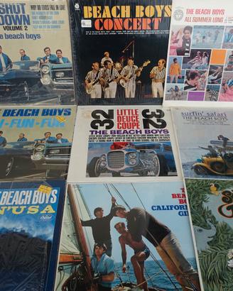 VINILI COLLEZIONE THE BEACH BOYS