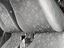 Immagine 8