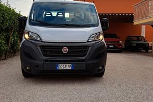 DUCATO 35MAXI CASSONATO 2.3M-MOTORE FIAT NO PEUGEO