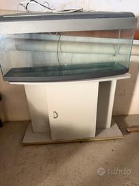 Acquario casa e accessori
