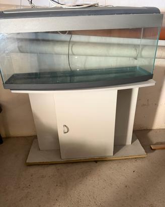 Acquario casa e accessori