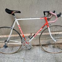 Atala corsa