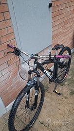 trek marlin