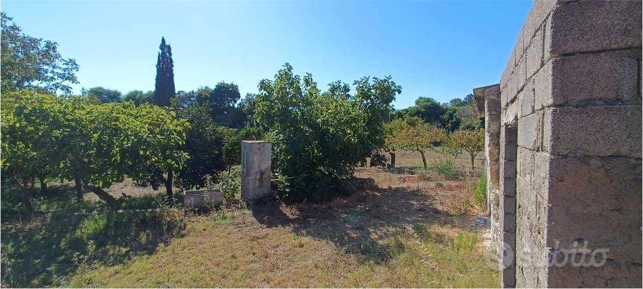 Terreno agricolo con rudere ricostruibile Localit - Vista 5