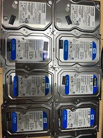 Hard disk 1tb western digital