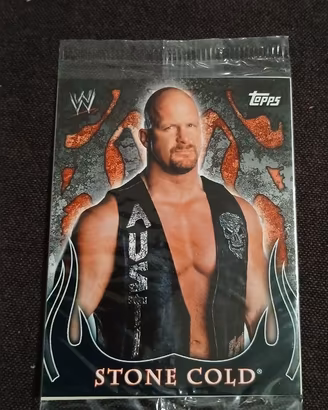 Topps WWE vintage 2004