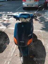zip fast rider