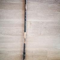 bastone da collezione 