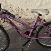 Bici donna 26