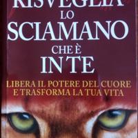 RISVEGLIA LO SCIAMANO CHE È IN TE di J.L.Stevens