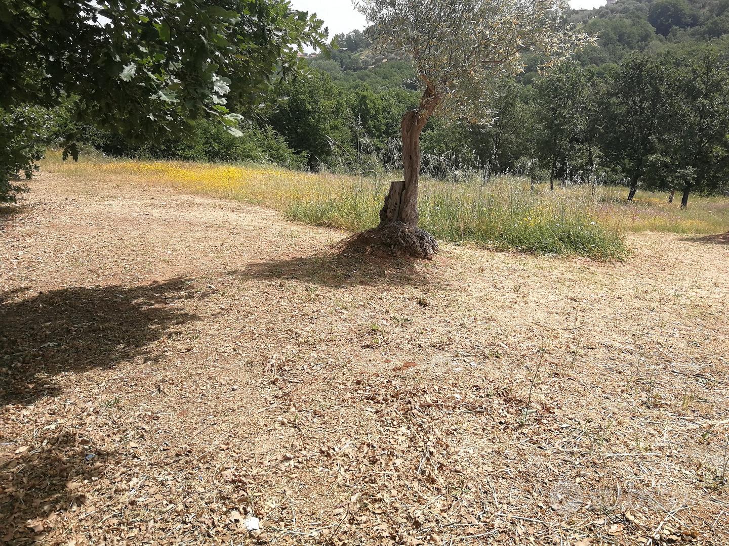 Terreno a Rende - Vista 2