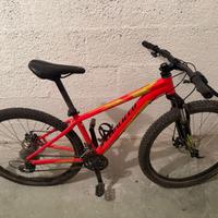 Bici Specialized Mountain Bike