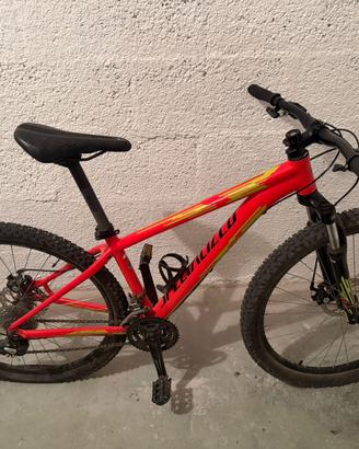 Bici Specialized Mountain Bike