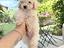 Immagine 5