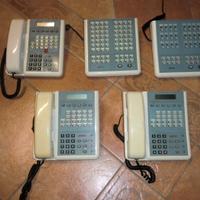 Da centralino telefonico SIP, piccolo lotto