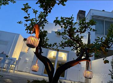 CENTO FOGLIE la dimora del borgo a Felline