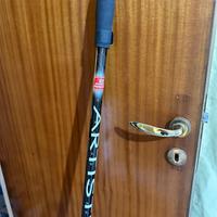 Canna da Pesca Bolognese LineaEffe 7 metri