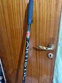 Canna da Pesca Bolognese LineaEffe 7 metri