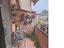 Immagine 9