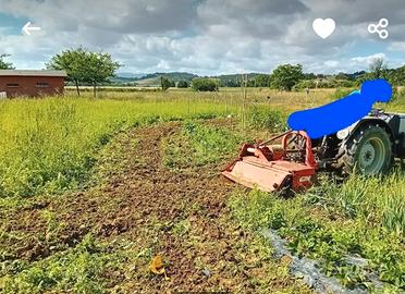Terreno agricolo per grilgiate orto pollame