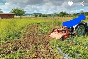Terreno agricolo per grilgiate orto pollame