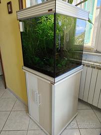 Acquario troppicale asiatico 150 litri